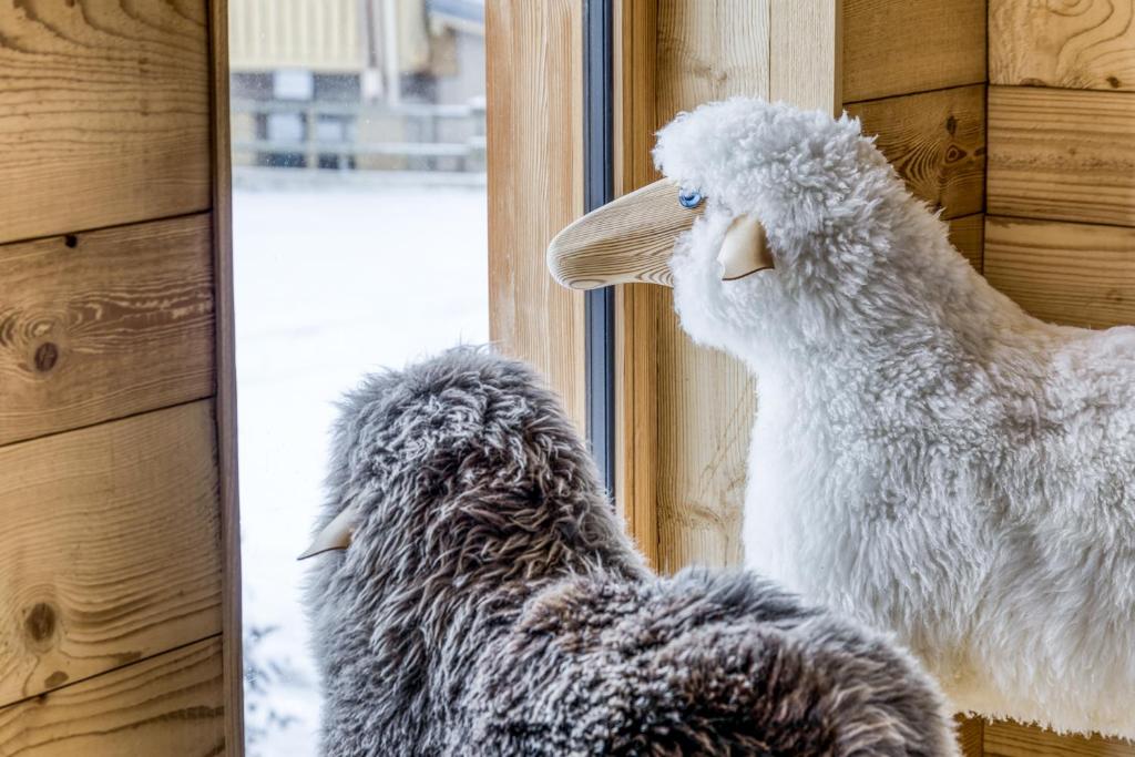Grand chalet récent avec Jacuzzi, ski au pied - 2
