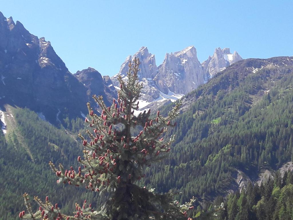 Appartamento Madama - 4