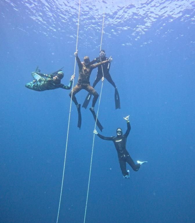 スポーツ/アクティビティ