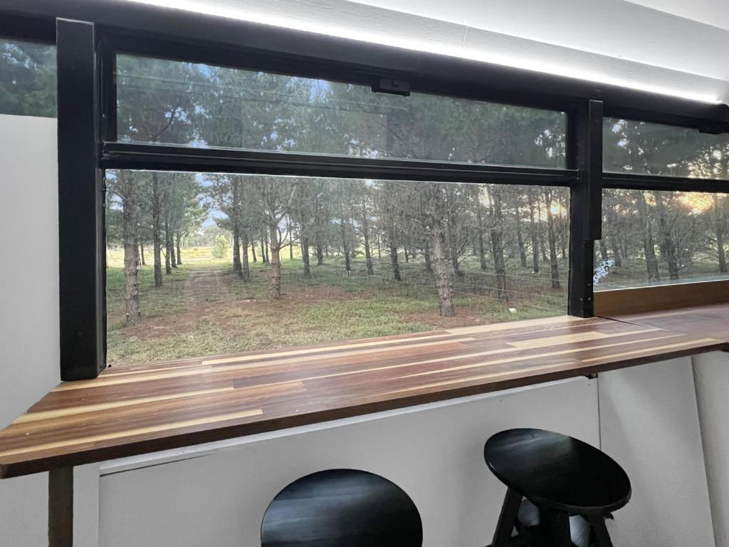 Bussie McBusFace, converted bus in Little River, Little River