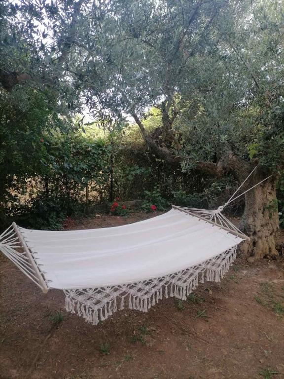 Studio P & P Polylimnio Waterfalls, Dhouvraíika