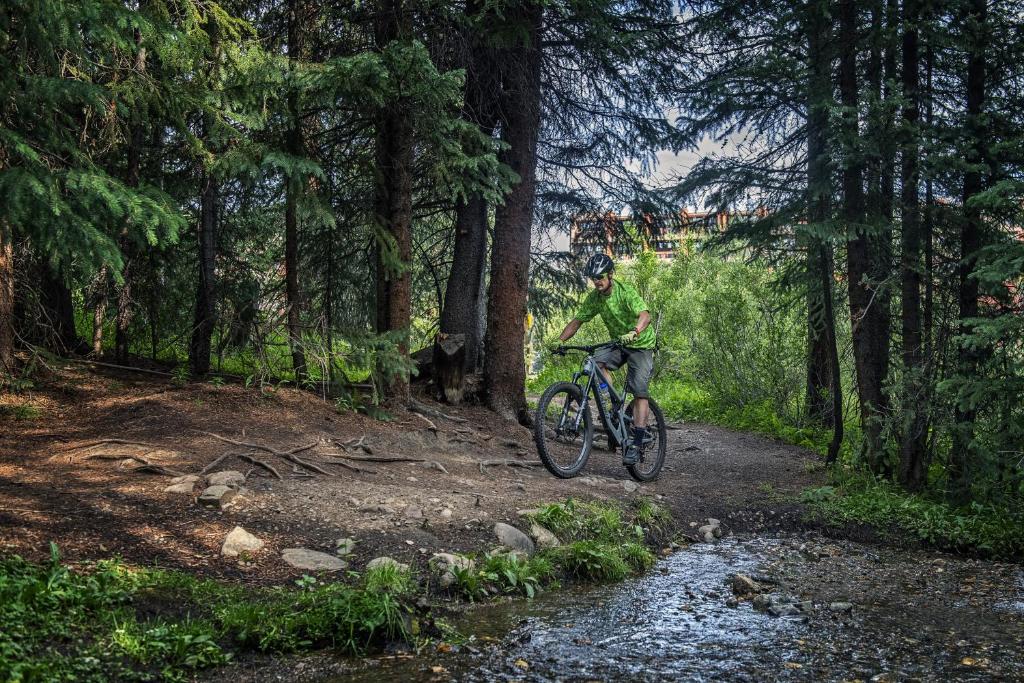 Sports and activities