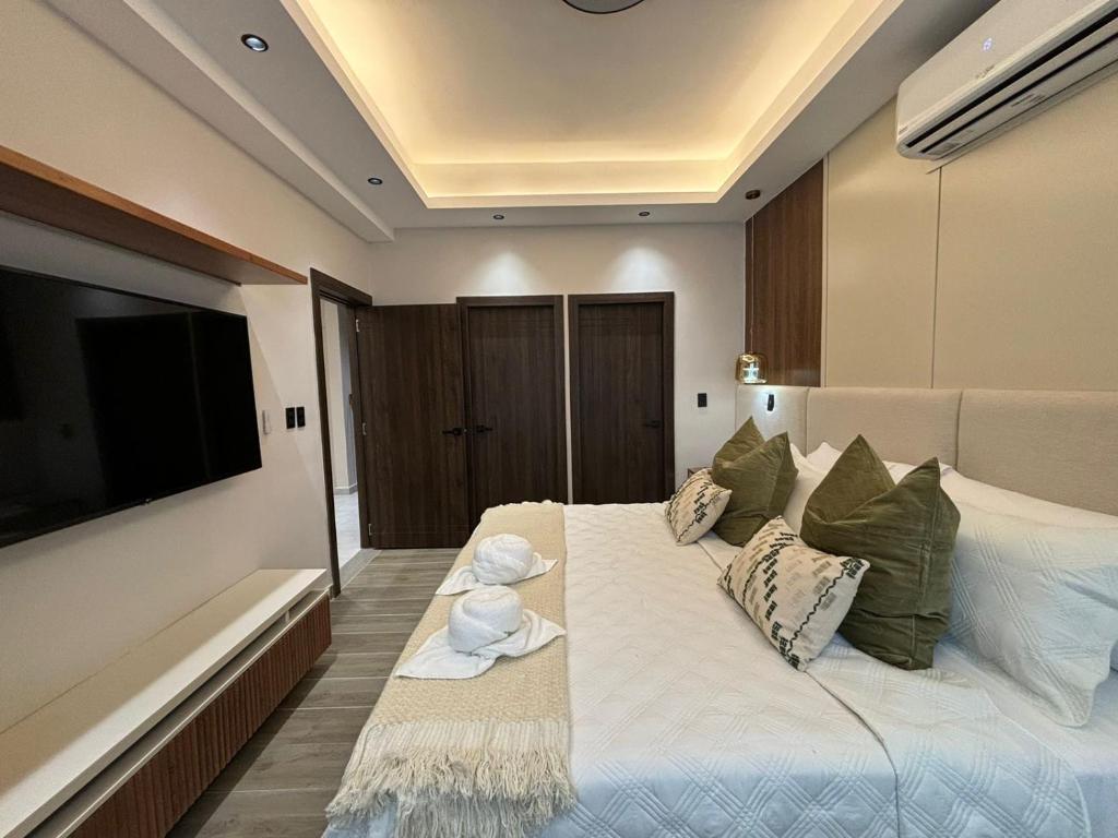 Torre Roraima, Santo Domingo