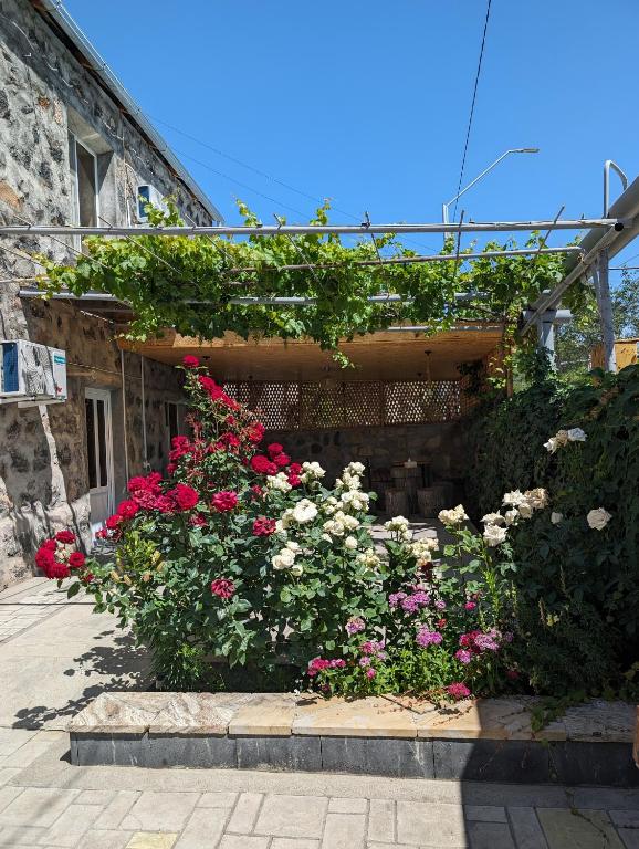 Eleven - 11, Yeghegnadzor