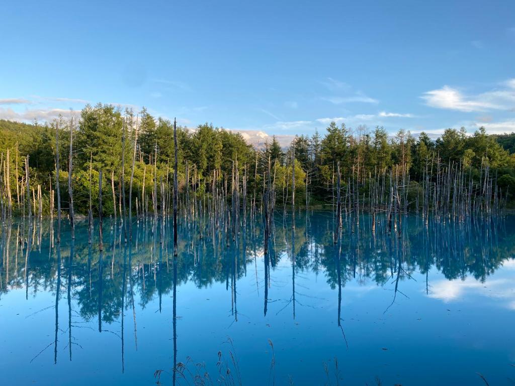 Activités à proximité