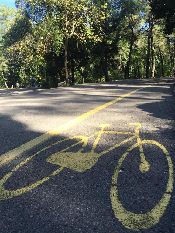 Sports and activities