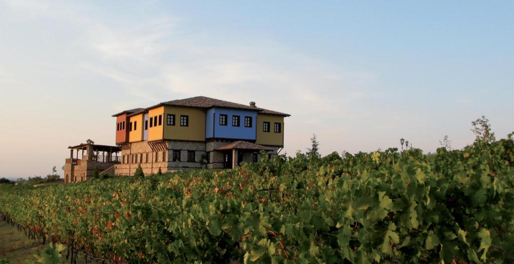 Estate Kalaitzis — Hotel in Vergina