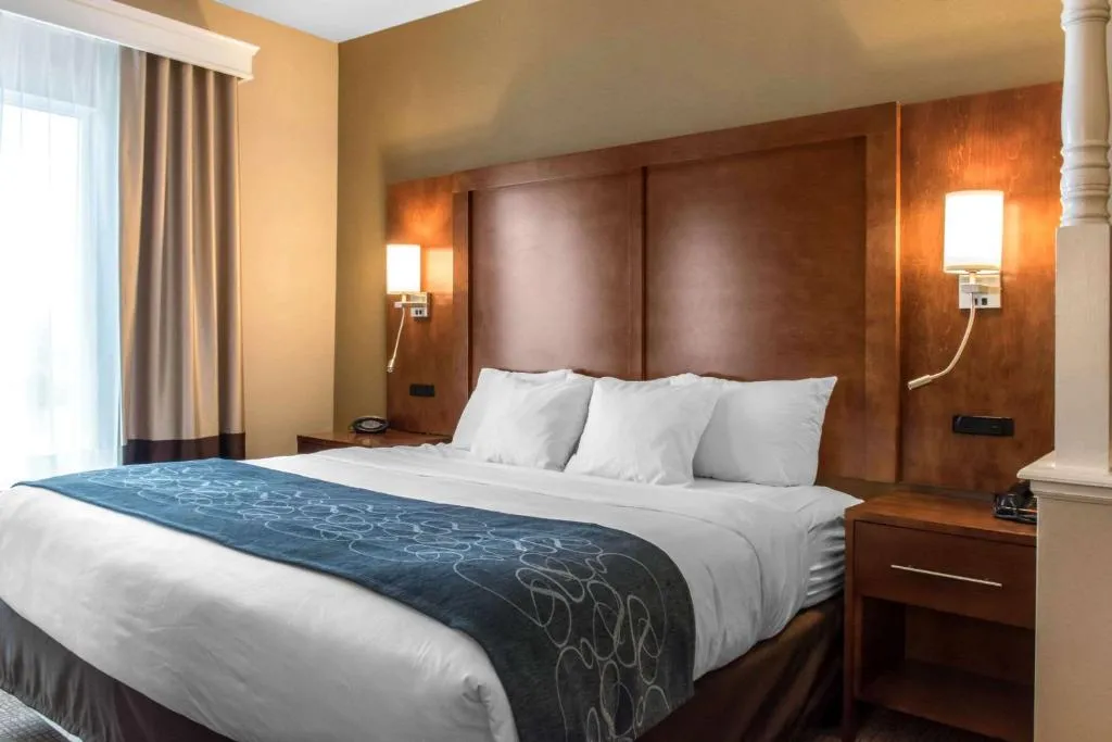 Comfort Suites Scranton near Montage Mountain，位于斯克兰顿的酒店