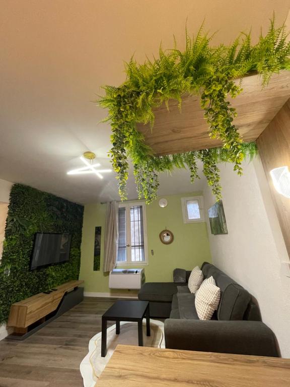 Magnifique Appartement Avignon Intra-Muros, Avignon