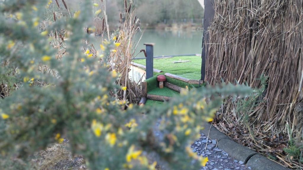 the reedy cabin, Bexley