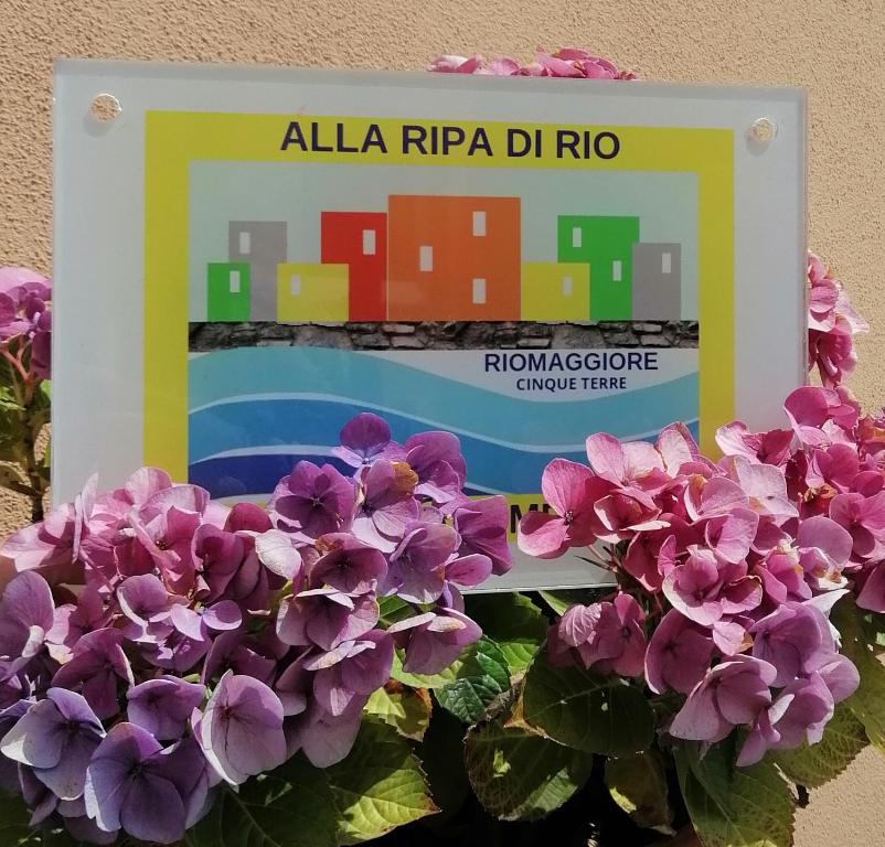 ALLA RIPA di RIO - 2