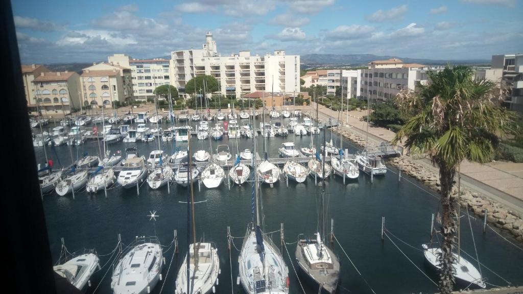 Appartement sur le port vue mer, Leucate