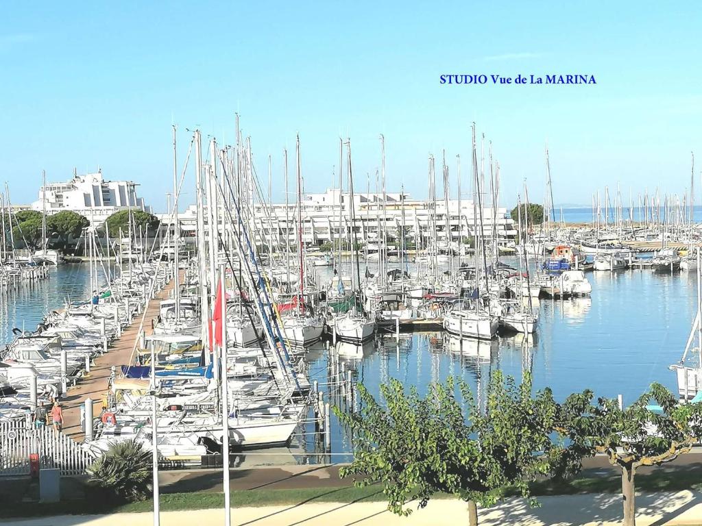 Studio refait avec piscine et clim, proche plage et commerces - FR-1-731-81 - 2