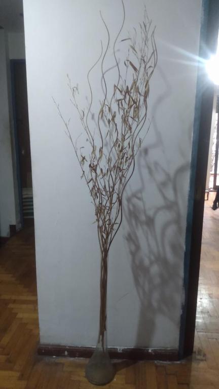 La exclusiva de ORO - 1