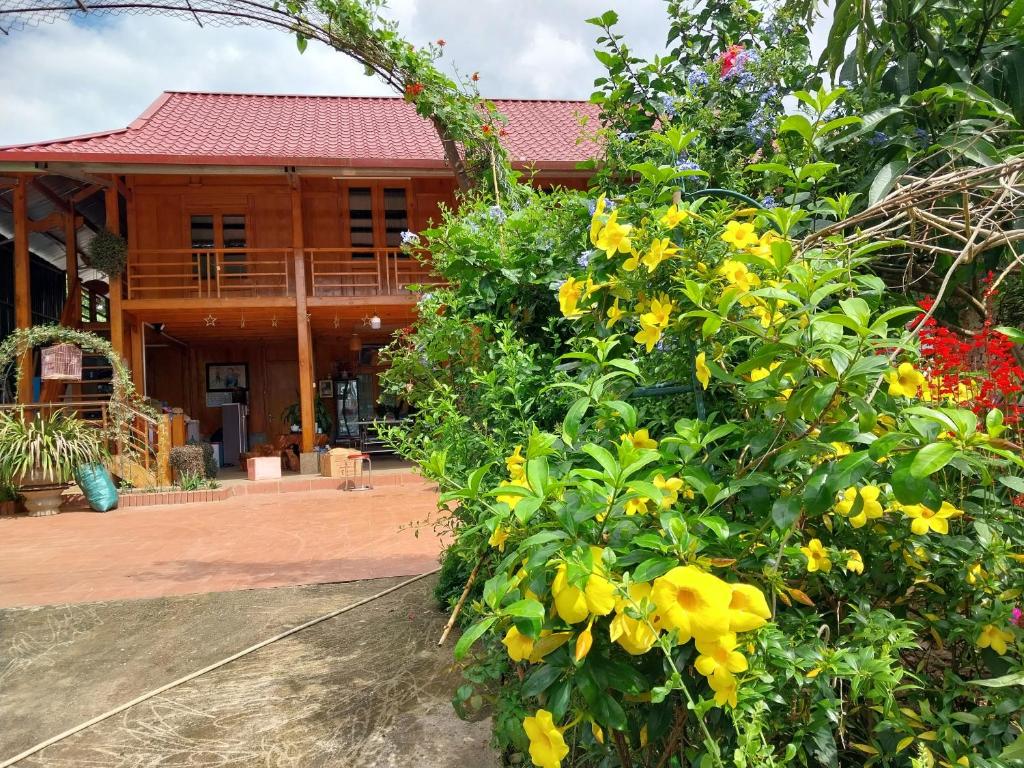 Hương Siu homestay Huong Siu homestay