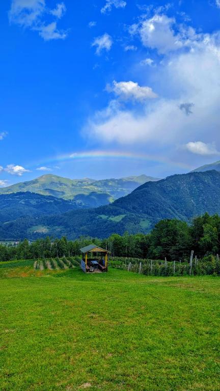 Surrounding environment