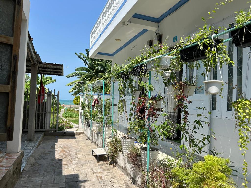 I Hostel Muine - A Little White Homestay By The Sea
