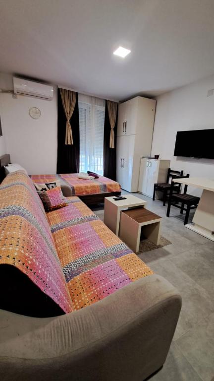 Studio Soko Day 2, Soko Banja