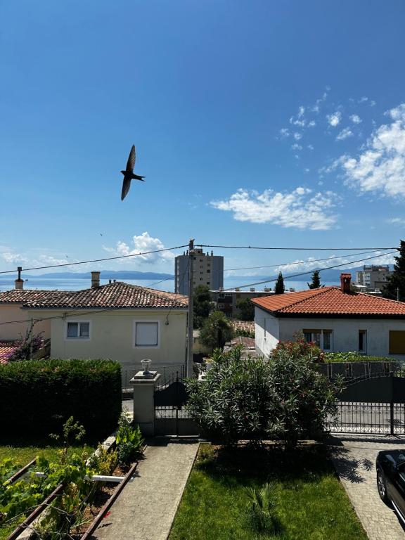 Studio Apartment Rijeka Zamet 500m from Sea with free Parking and near to Center Zamet, Rijeka