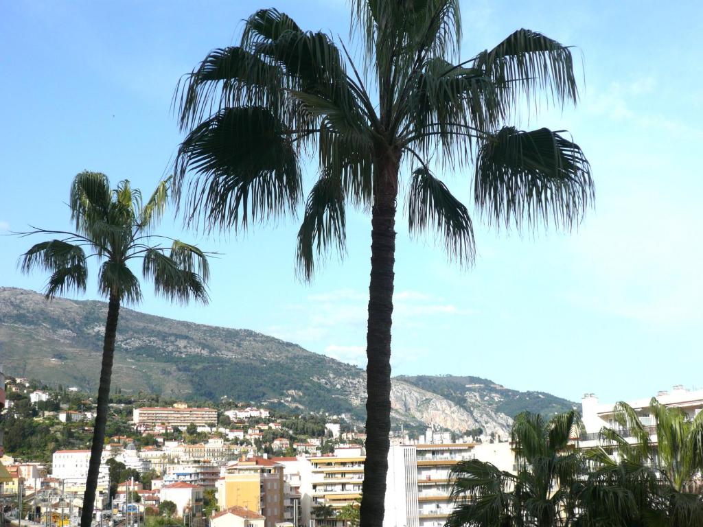 Grand 2 pièces CLIMATISE, TERRASSSE VUE MER & PROCHE FETE DU CITRON - 2