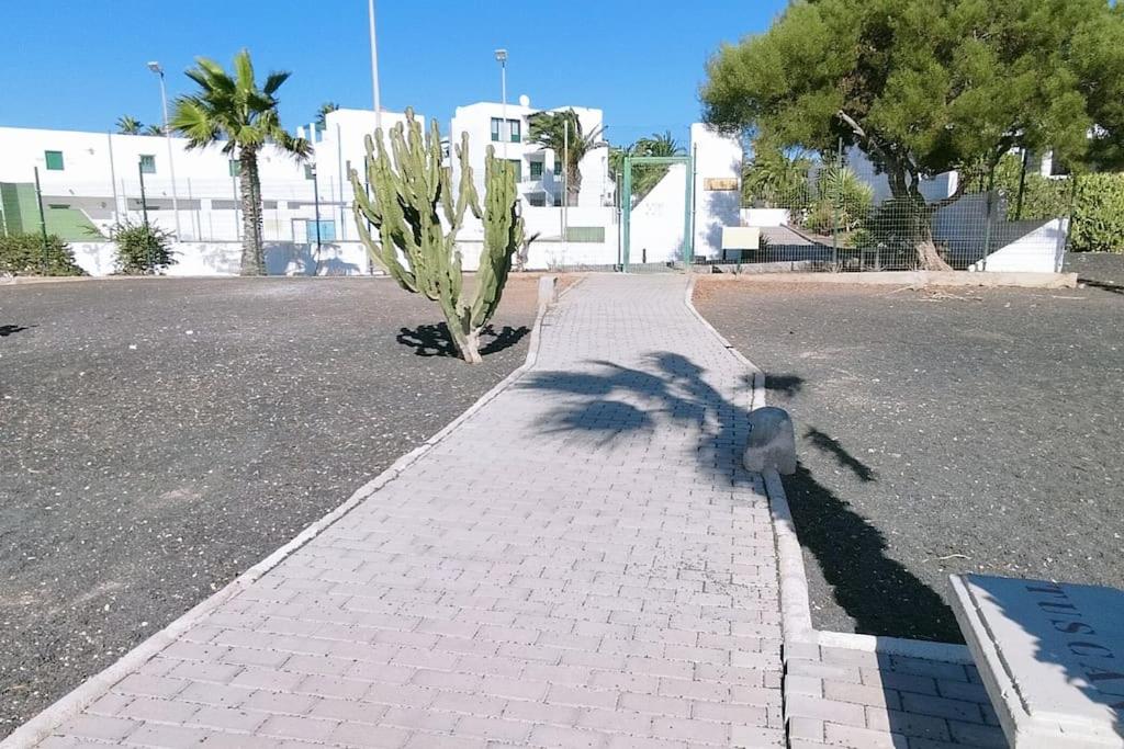 BrisaMar Costa Teguise - 4