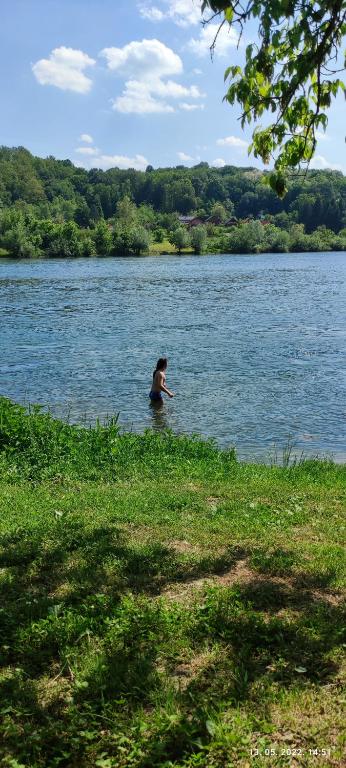 Queen bee's nest, Lijevo Sredičko