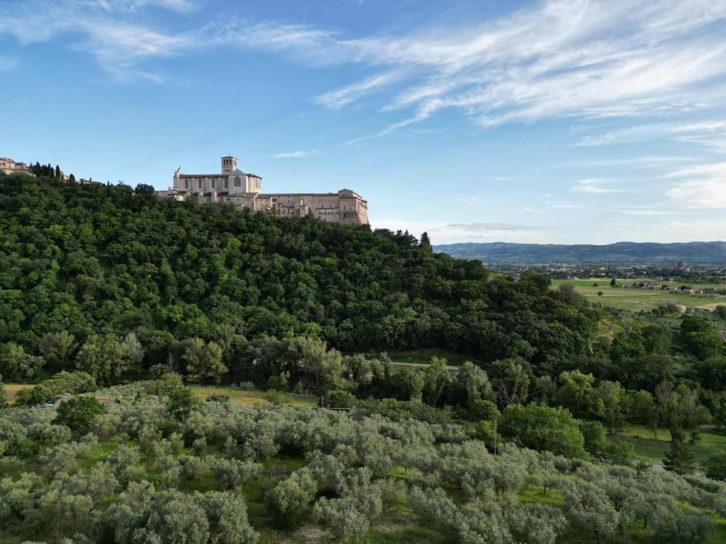 La Casa Tra Gli Ulivi - 5