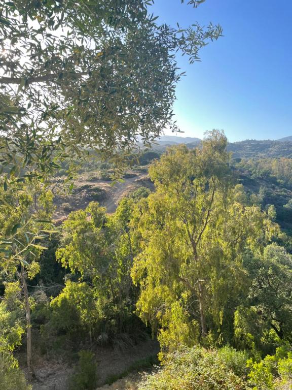 Apartamento en Elviria, Marbella - 5