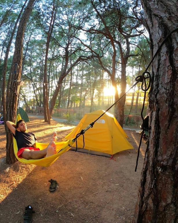 Mənzərə Piknik, Altıağac