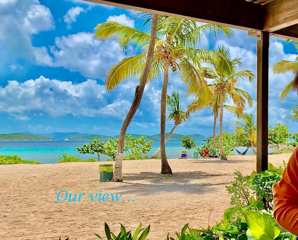 Ocean Front Sapphire del Mar B-107, St Thomas