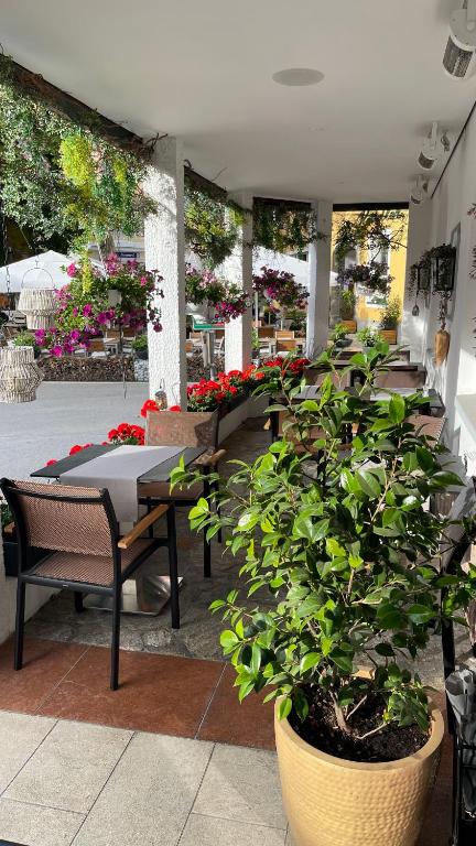 Hotel Radetzky - 2