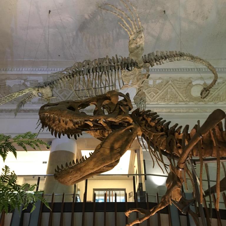 ที่เที่ยวใกล้ที่พัก