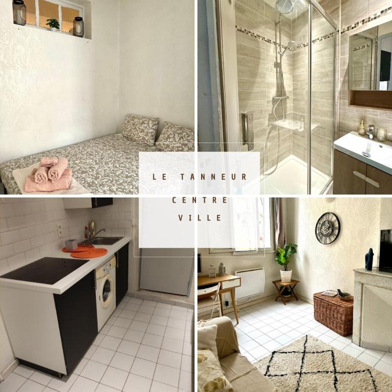Le Tanneur- Grand Studio 38m2 en centre-ville - 1