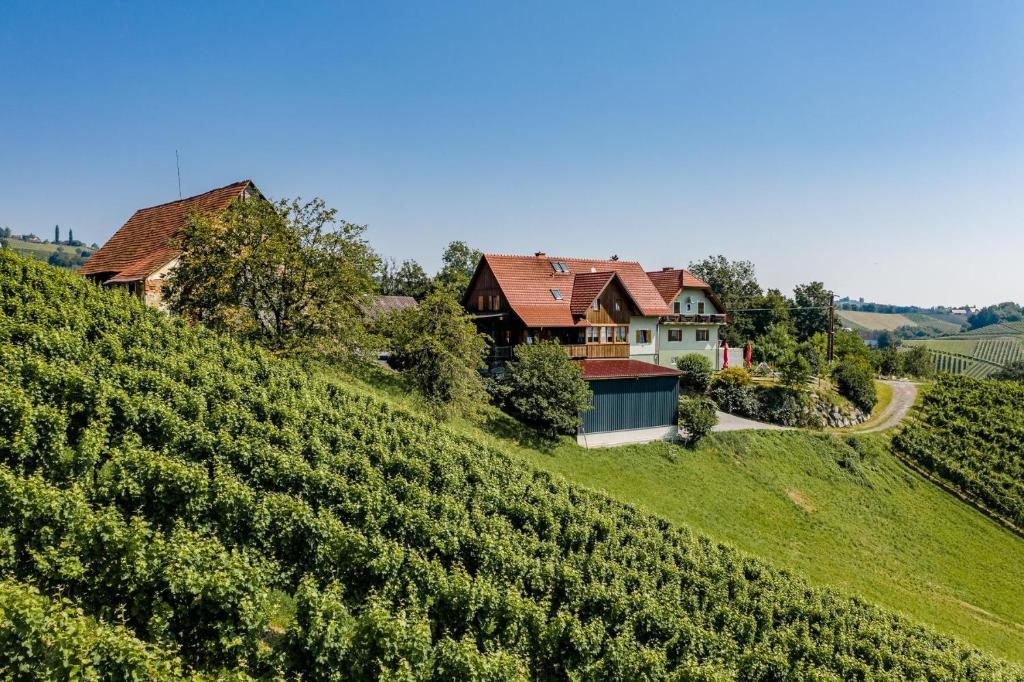 Weingut Juritsch - 1