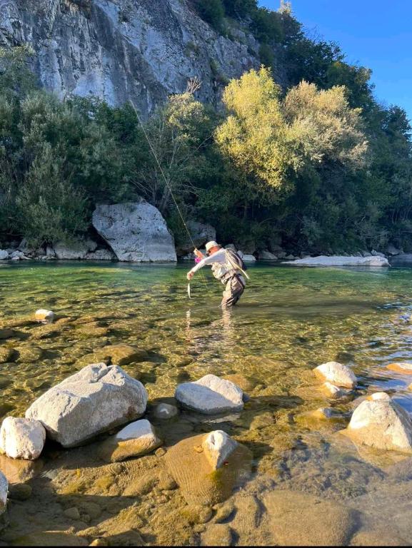 Surrounding environment