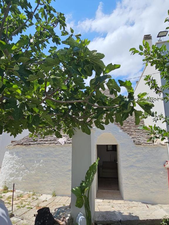 River Trulli oasi di pace in sito UNESCO, Alberobello