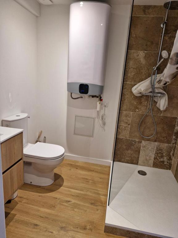 Le duplex Toulousain - 3