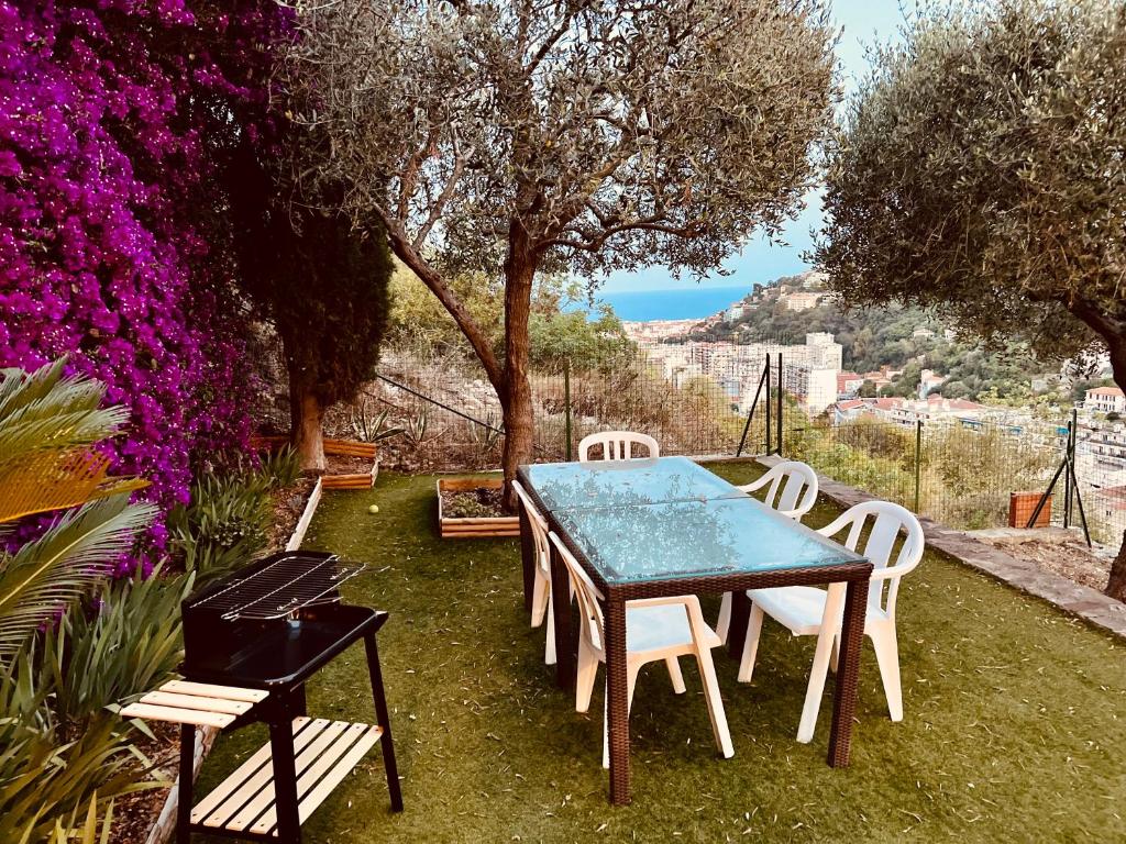 Nissa la bella, Piscine et vue mer - 2