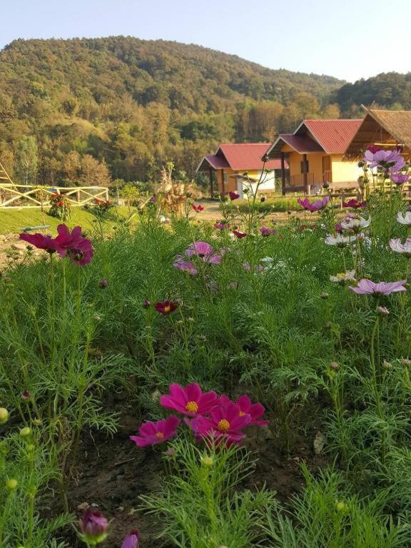 Peisanae Faikeng Resort, Nan