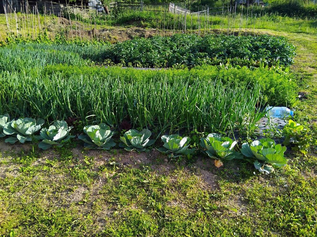 Surrounding environment