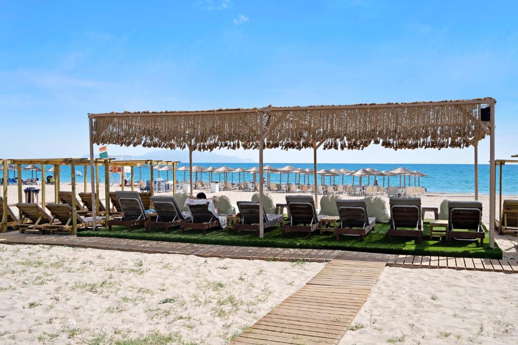 Iguana studio 12, Preveza