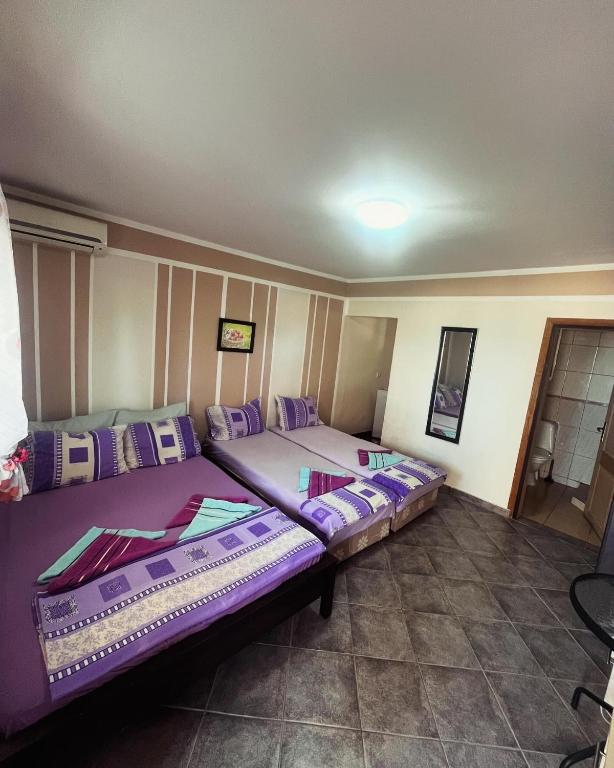Apartments in villa Viktoria - 2