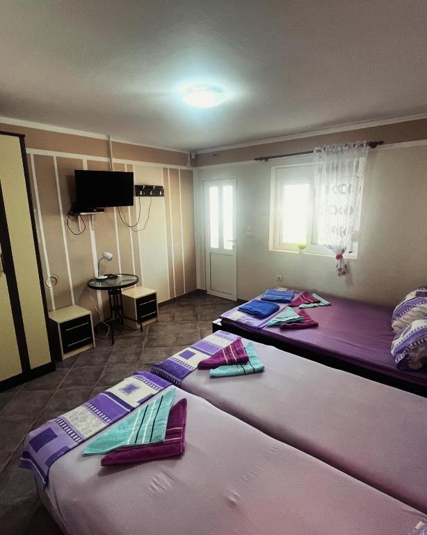 Apartments in villa Viktoria - 4