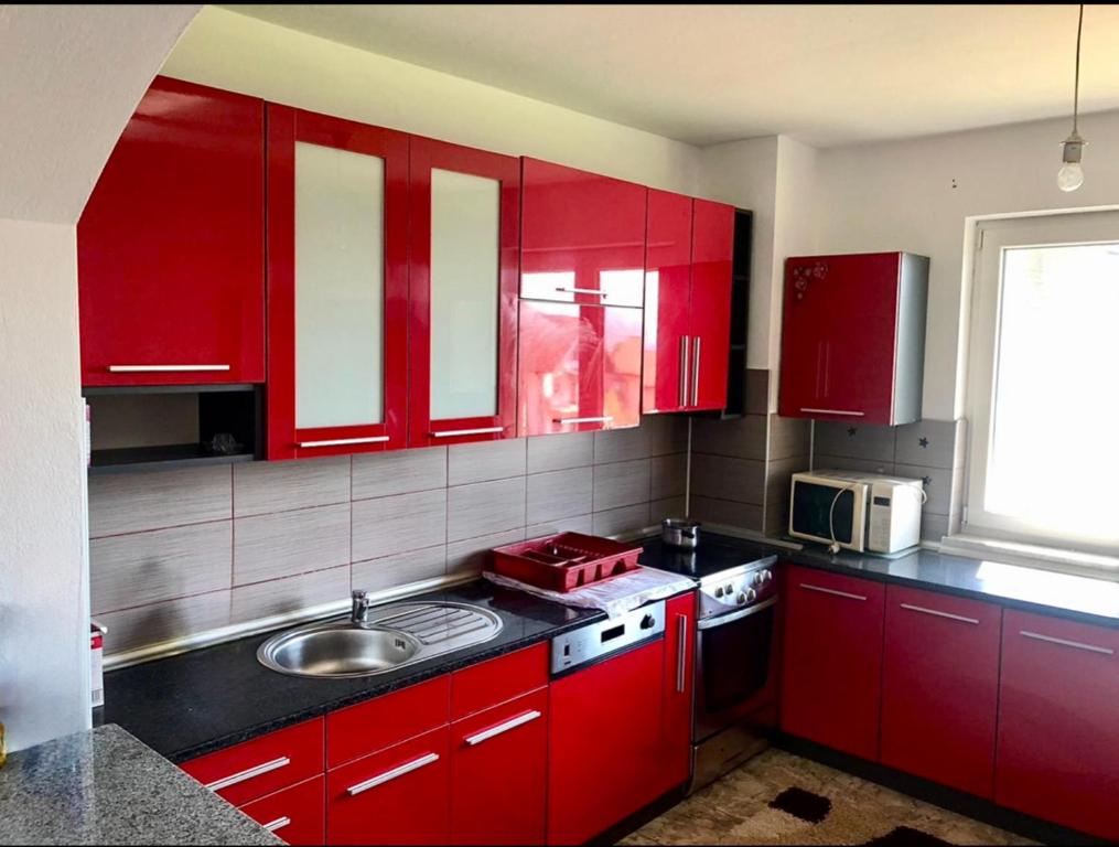 Apartment Panonija - 1