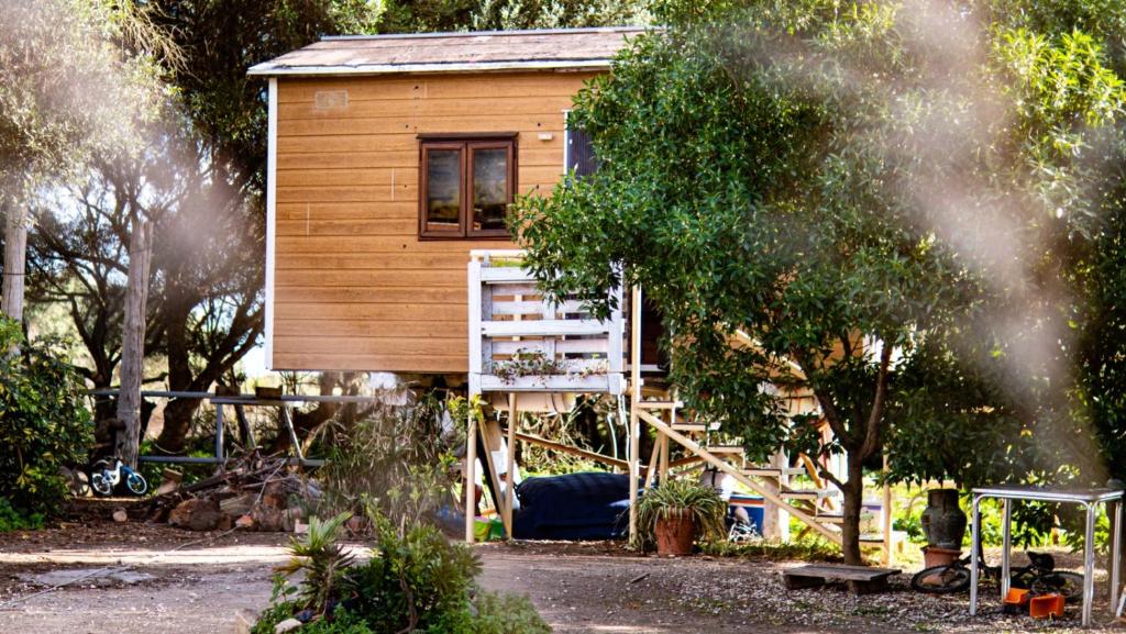 Cabana de madera - 3