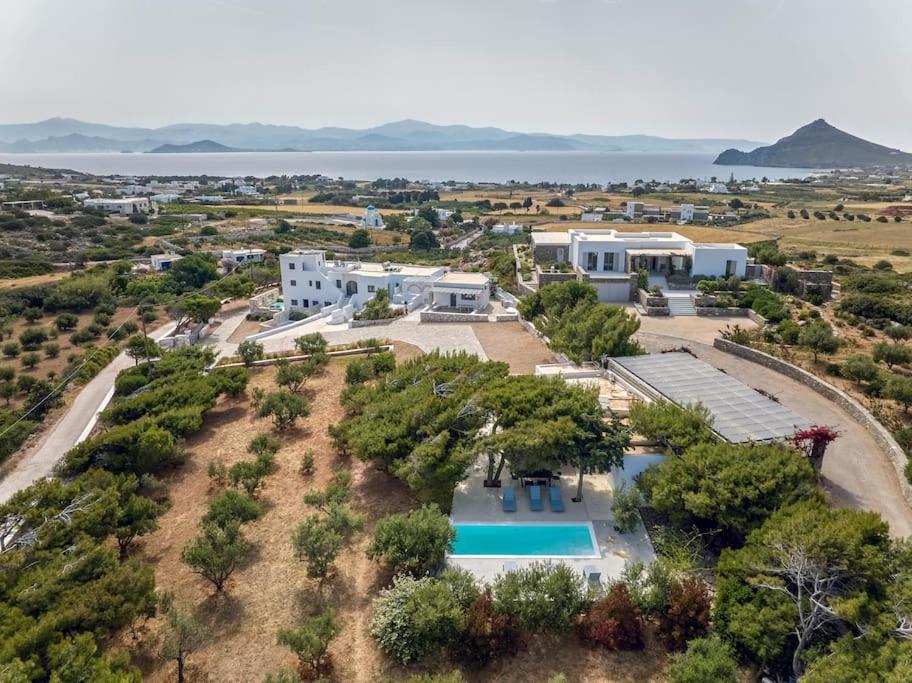 Pine Residence, Isterni