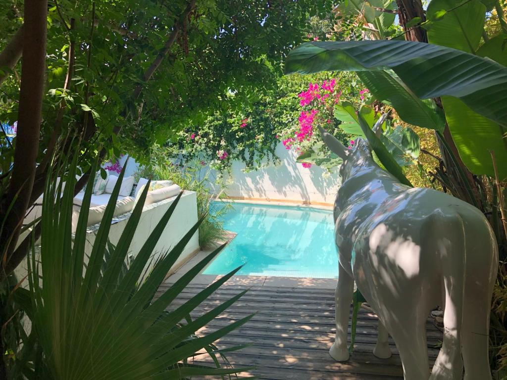 Dar Marsa Cubes, La Marsa