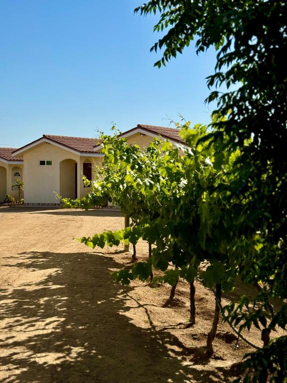 Cabañas Colibri, Valle de Guadalupe