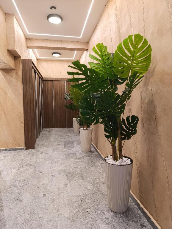 Apartman Rentals Lux KG 1 - 2