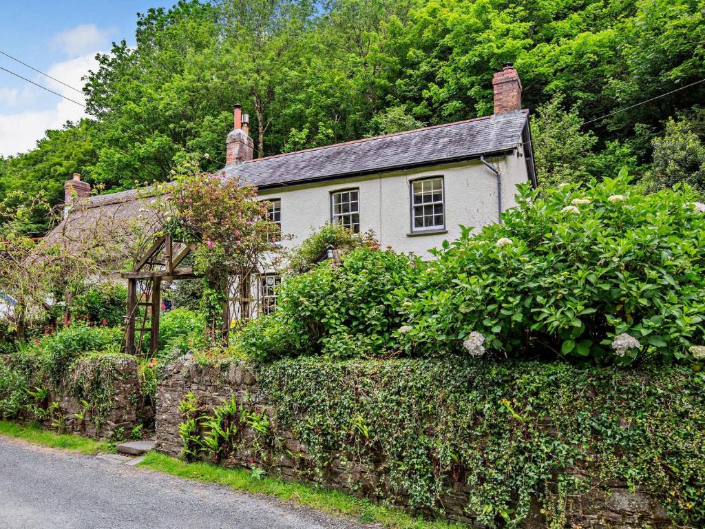 4 Bed in Bucks Mills 60643, Bucks Mills